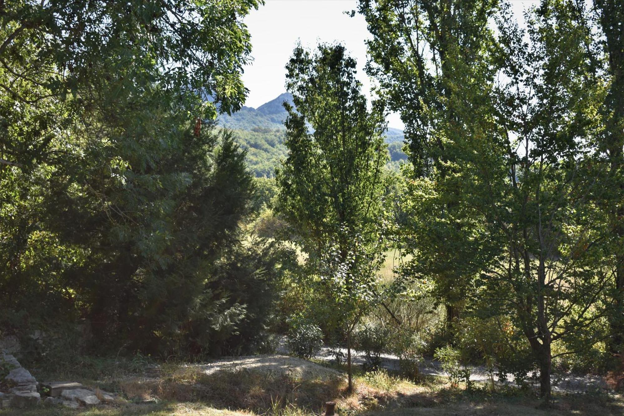 Les Beaux Chenes * Pont-de-Barret