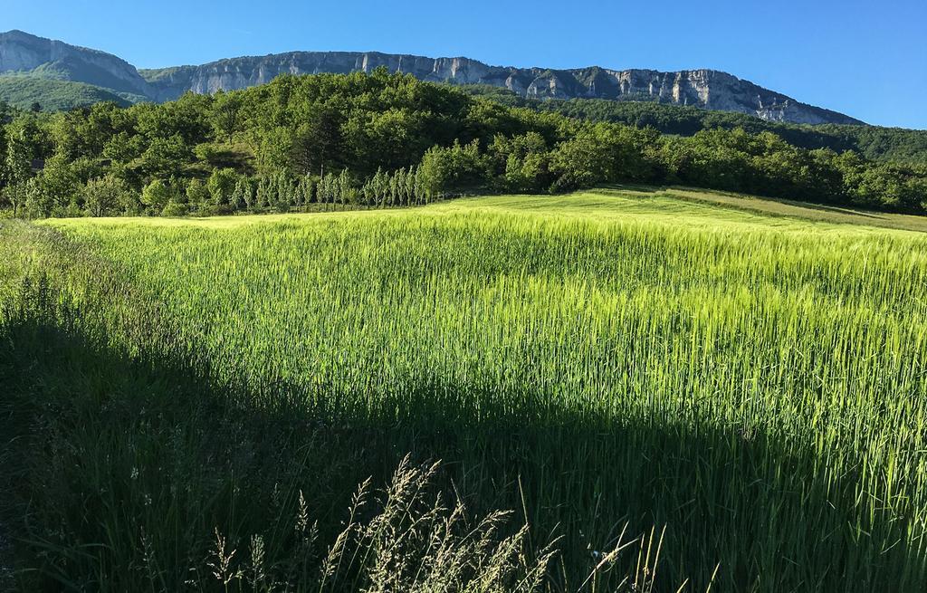 Hébergement de vacances Les Beaux Chenes *