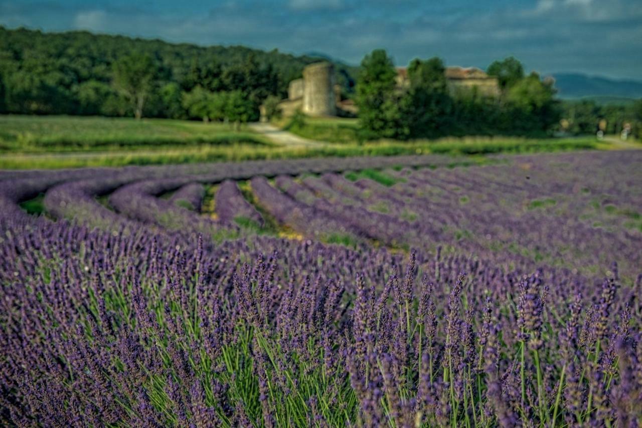 Hébergement de vacances Les Beaux Chenes *